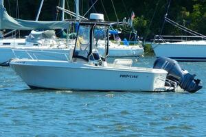 Fish Stalker 20ft Pro Line Yacht For Sale