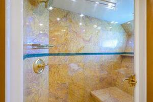 Master Shower  