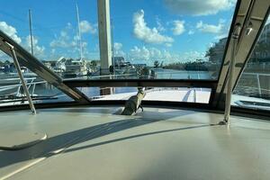 38ft Sea Ray Yacht For Sale