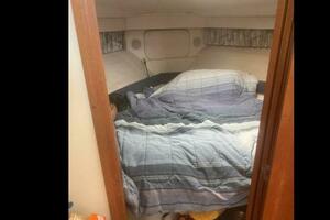SEA DELIVERY 35ft Carver Yacht For Sale