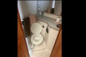 SEA DELIVERY 35ft Carver Yacht For Sale