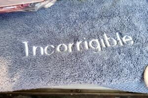 Incorrigible 31ft Beneteau Yacht For Sale