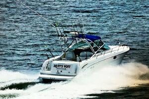 ZOTT S YOTT 29ft Sea Ray Yacht For Sale