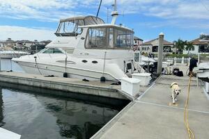 Just One More 42ft Sea Ray Yacht For Sale