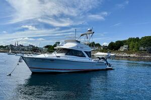 Frisky 37ft Cutwater Yacht For Sale