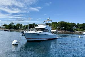 Frisky 37ft Cutwater Yacht For Sale