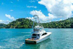2017 Viking 62 Convertible thumbnail 6