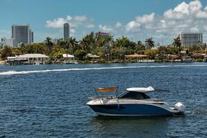 Lady Iryna 32ft Sea Ray Yacht For Sale
