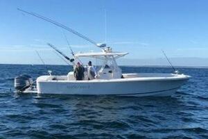 31ft Regulator Yacht For Sale