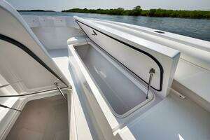 2013 Bahama thumbnail 36
