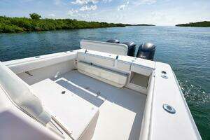 2013 Bahama thumbnail 82