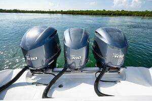 2013 Bahama thumbnail 75