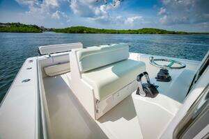 2013 Bahama thumbnail 42