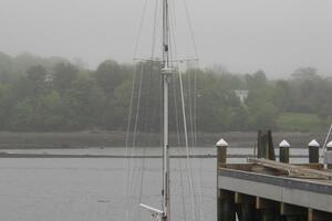 Vessel Image #16