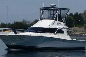 35ft Luhrs Yacht For Sale