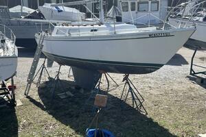 Haiku 30ft CAL Yacht For Sale