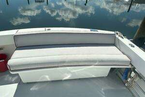 2017 Fortier F-30 Hardtop thumbnail 14