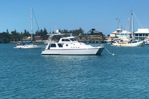 Used Power Catamaran for sale