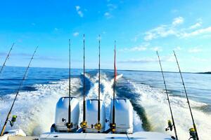 36ft Wellcraft Yacht For Sale