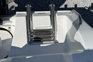 Swim ladder