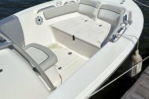 Photo 5650890 for 2021 Sea Fox 206 Commander  