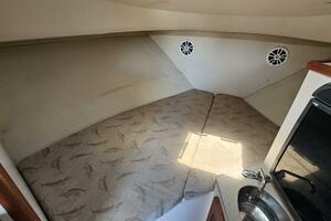 Less Worries 30ft Pursuit Yacht For Sale
