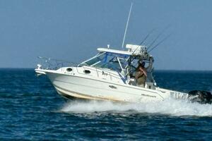 29ft Wellcraft Yacht For Sale