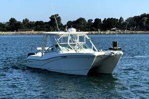 29ft World Cat Yacht For Sale