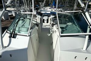 29ft World Cat Yacht For Sale