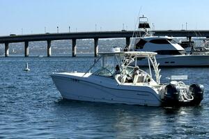29ft World Cat Yacht For Sale