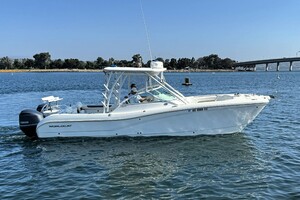 29ft World Cat Yacht For Sale
