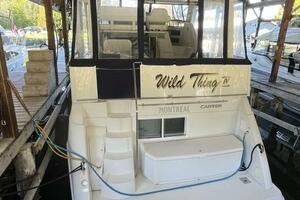 WILD THING IV 35ft Carver Yacht For Sale