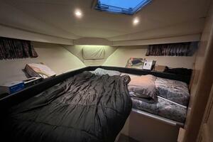 WILD THING IV 35ft Carver Yacht For Sale