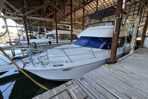 WILD THING IV 35ft Carver Yacht For Sale