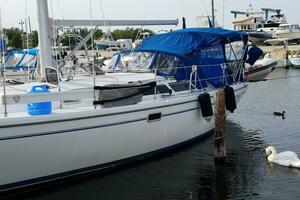 Snow Bird 36ft Catalina Yacht For Sale