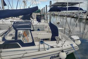 BLUEBIRD 36ft Catalina Yacht For Sale