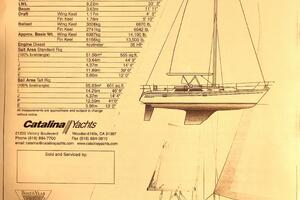 BLUEBIRD 36ft Catalina Yacht For Sale