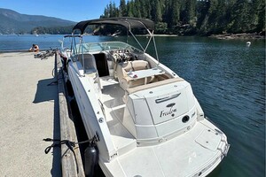 25ft Chaparral Yacht For Sale