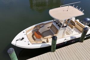 Here s Johnny  21ft Scout Yacht For Sale