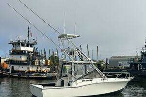 1995 Carolina Classic 28 Express thumbnail 8