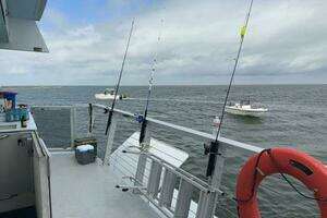 2018 Avenger Luxury Catamaran Coastal Cruiser thumbnail 7