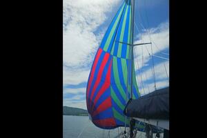 Vessel Image #3