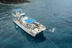 MAUI MAGIC Worth Avenue Yachts