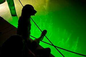 2007 Meridian 391 thumbnail 29