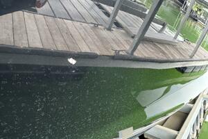 25ft Yamaha Boats Yacht For Sale