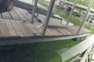 25ft Yamaha Boats Yacht For Sale