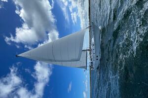 Vessel Image #7