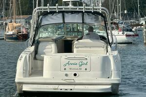29ft Sea Ray Yacht For Sale