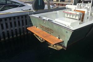 Legend 28ft Custom Yacht For Sale