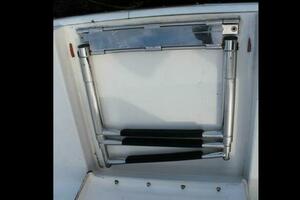 Swim Ladder